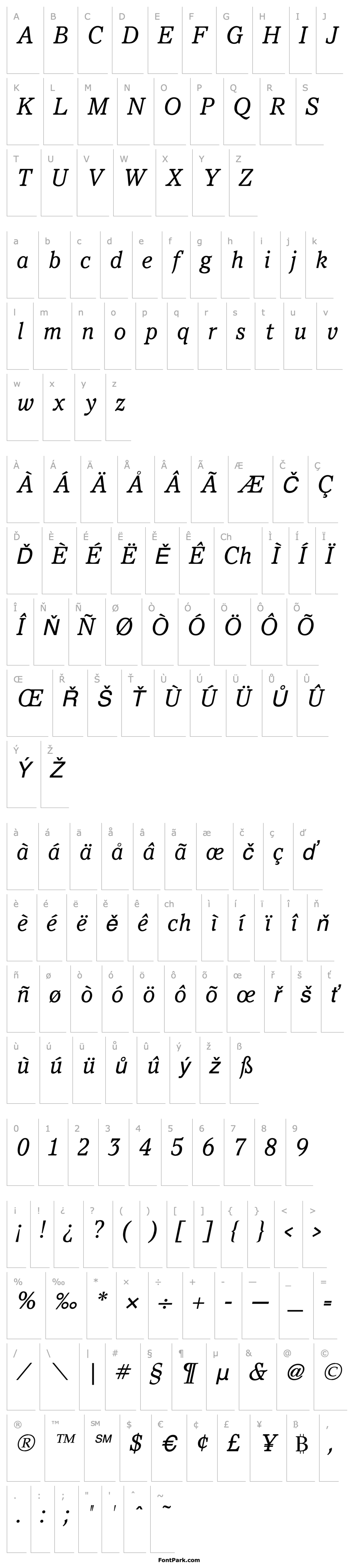 Overview PacellaBookItalic