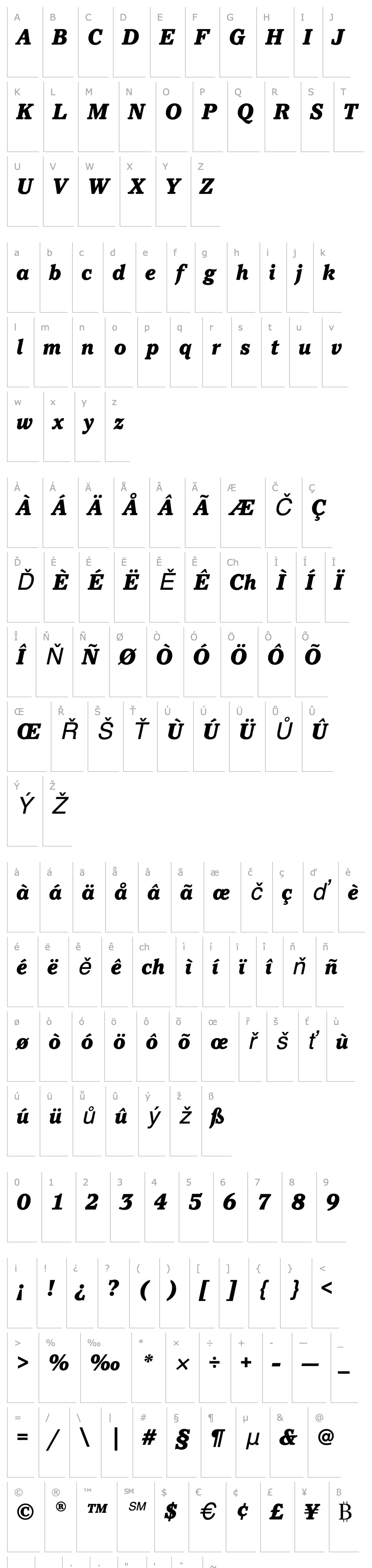 Přehled PacellaEF-BlackItalic