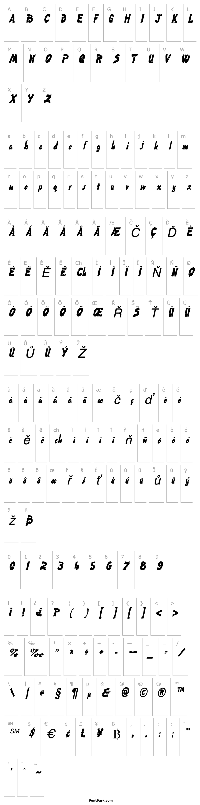 Overview Paint-Condensed Italic