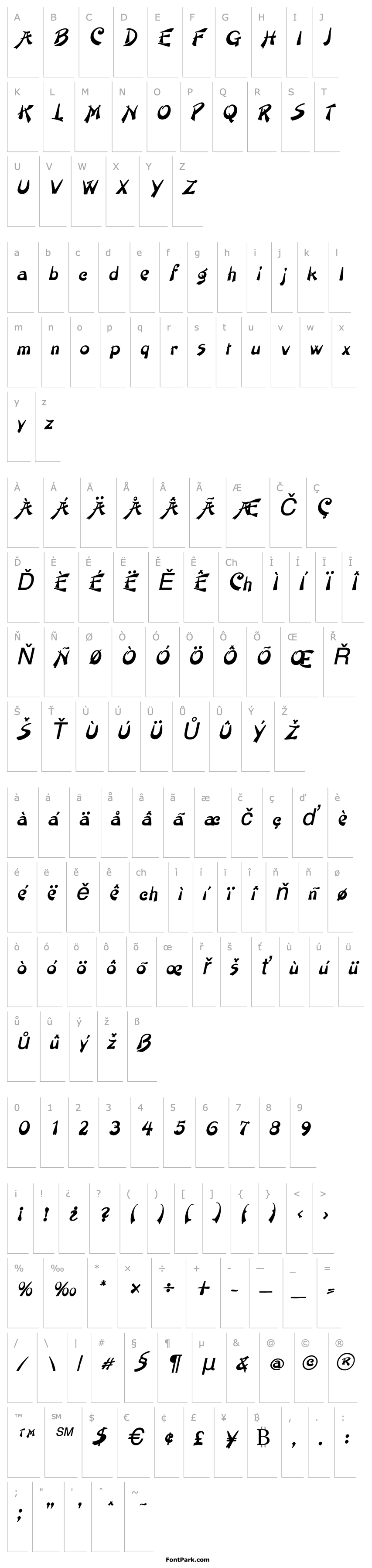 Overview Painter Italic