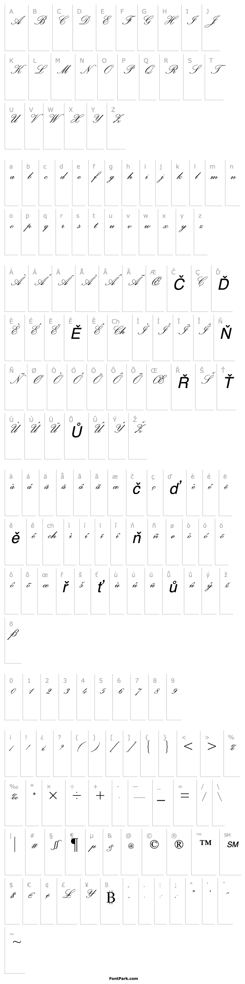 Overview Palace Script MT Std