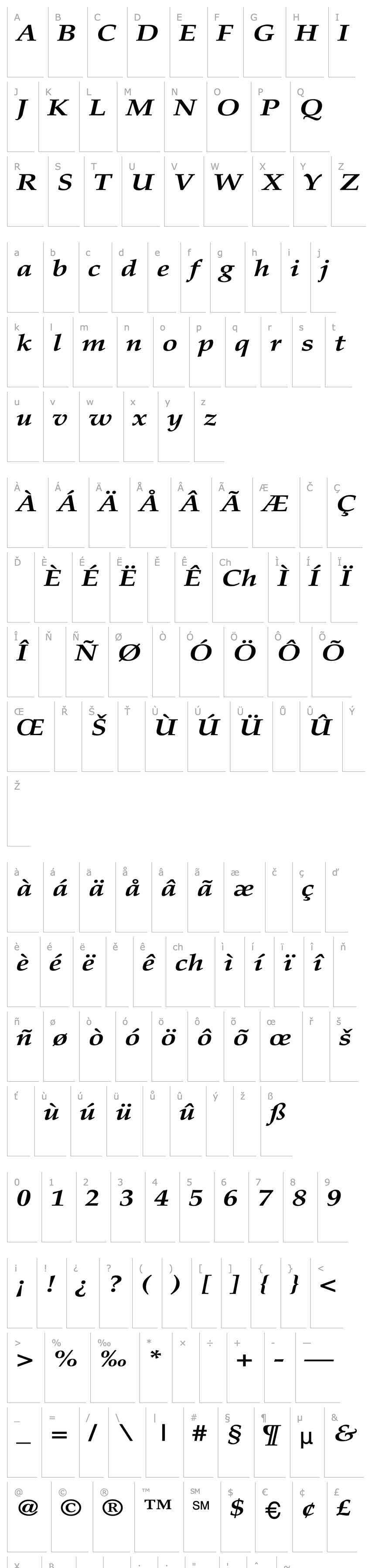 Přehled Palatino-BoldItalic Wd