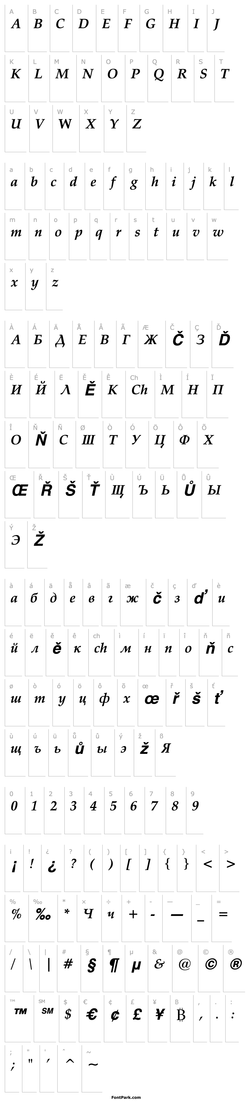 Overview Palatino Cyrillic Bold Italic