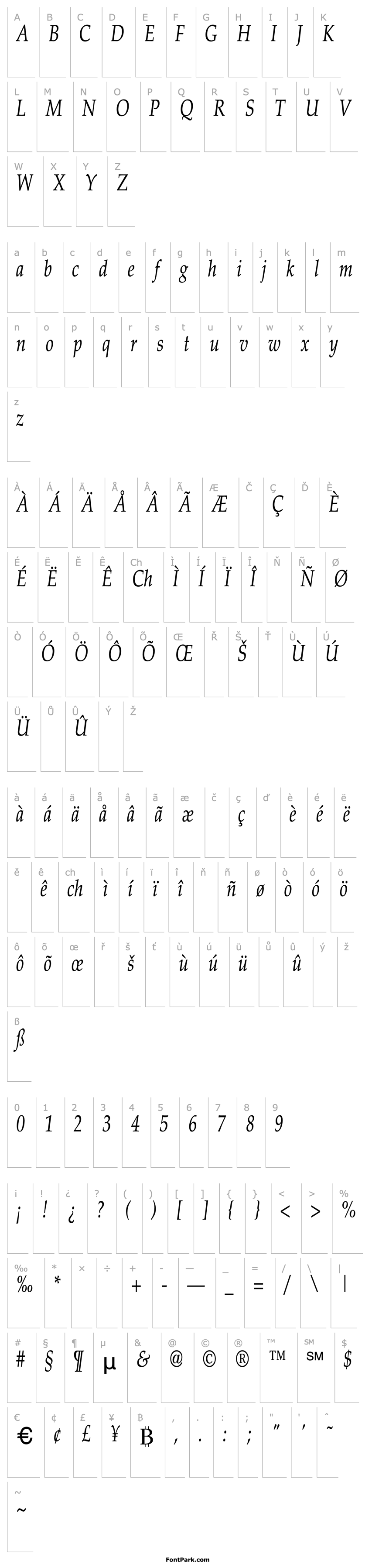 Overview Palatino-Italic Cn