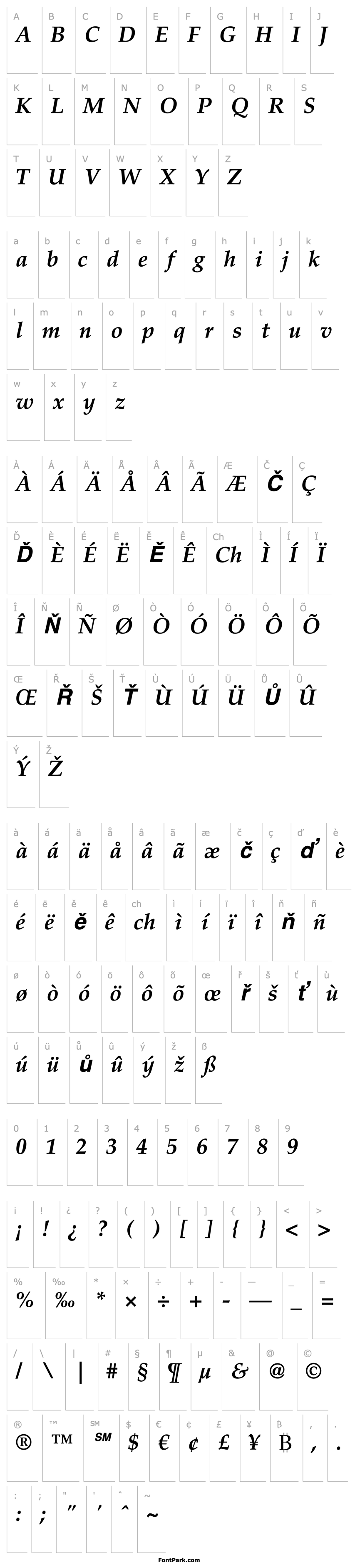 Overview Palatino LT Bold Italic