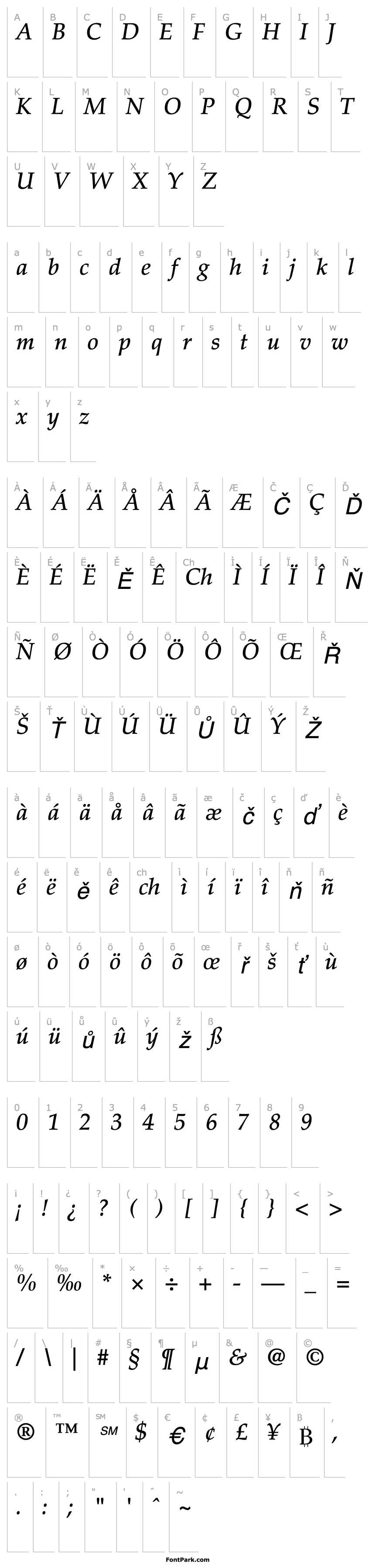 Přehled Palatino-Medium Italic