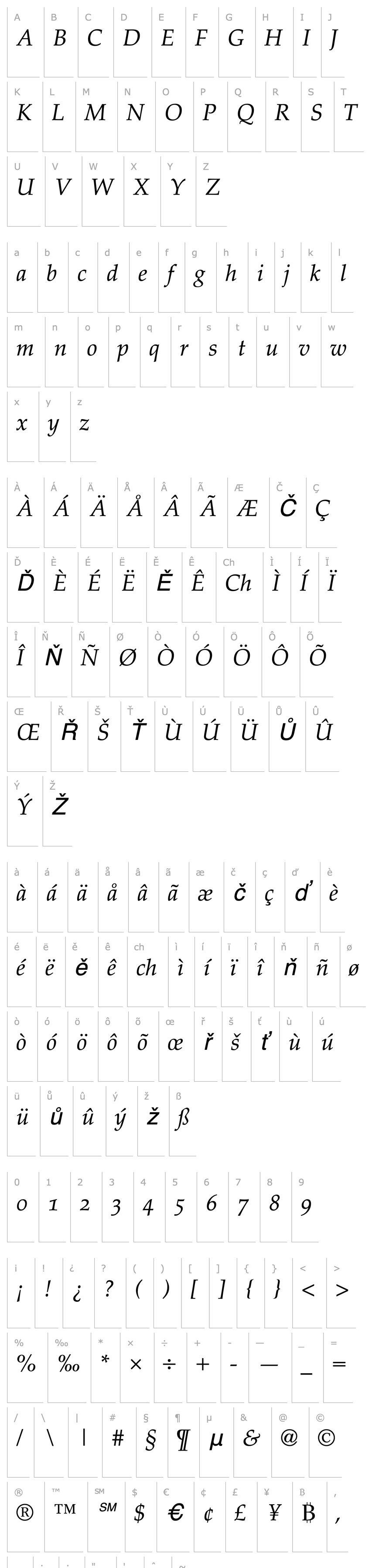 Overview Palatino OsF Italic