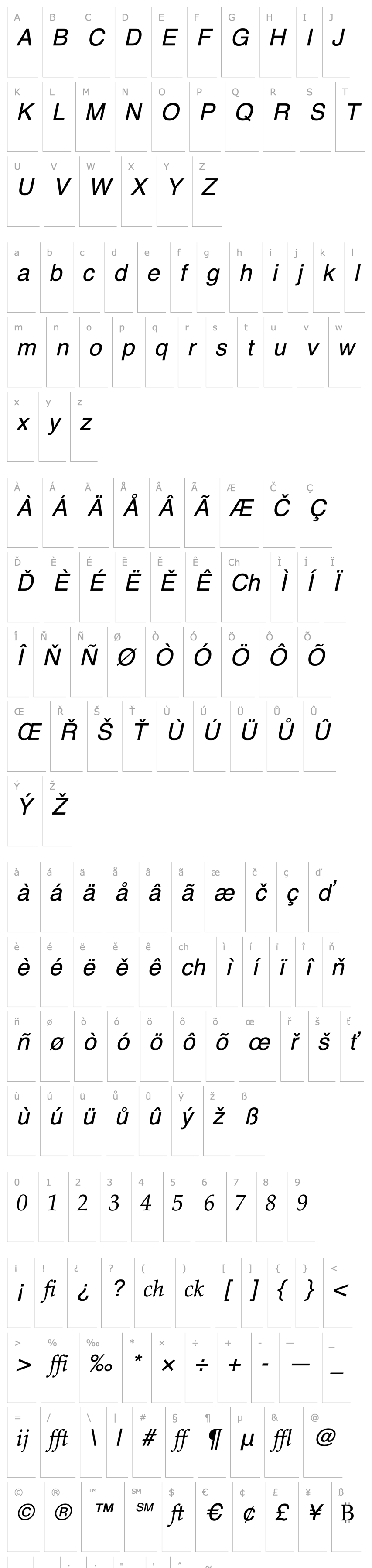 Overview Palatino Profi Italic