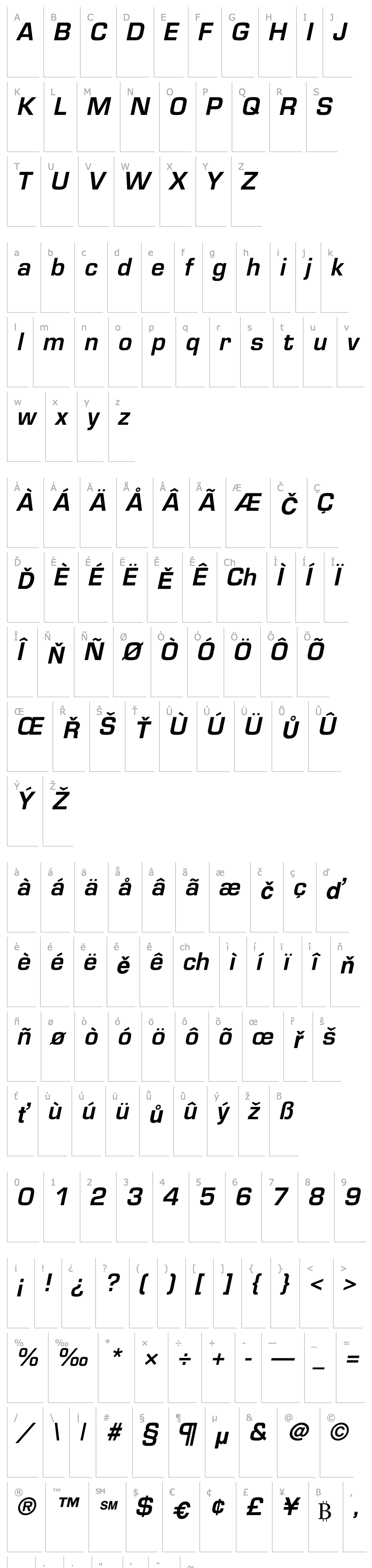 Overview Palindrome SSi Semi Bold Italic