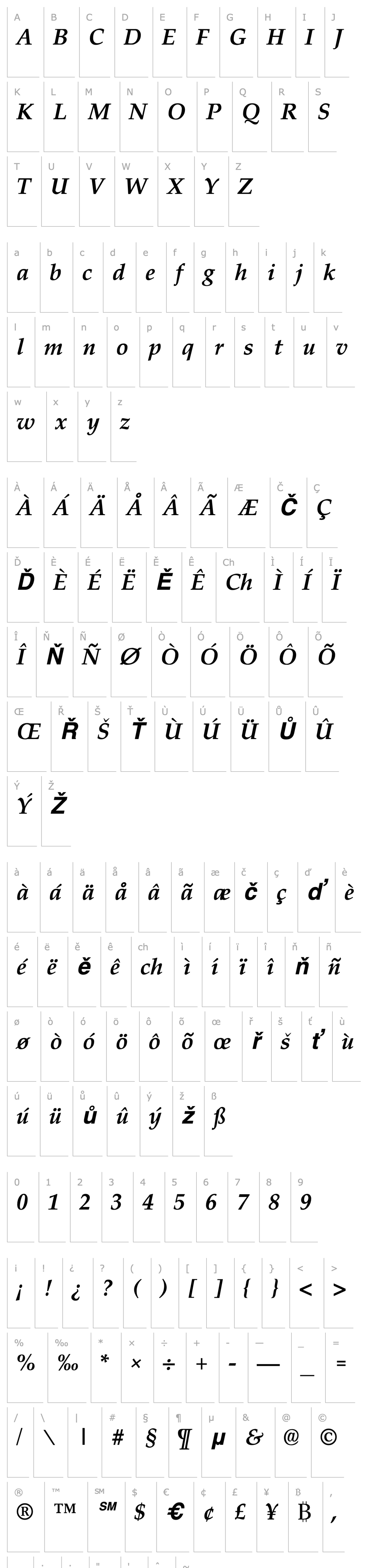 Overview Palisade Bold Italic