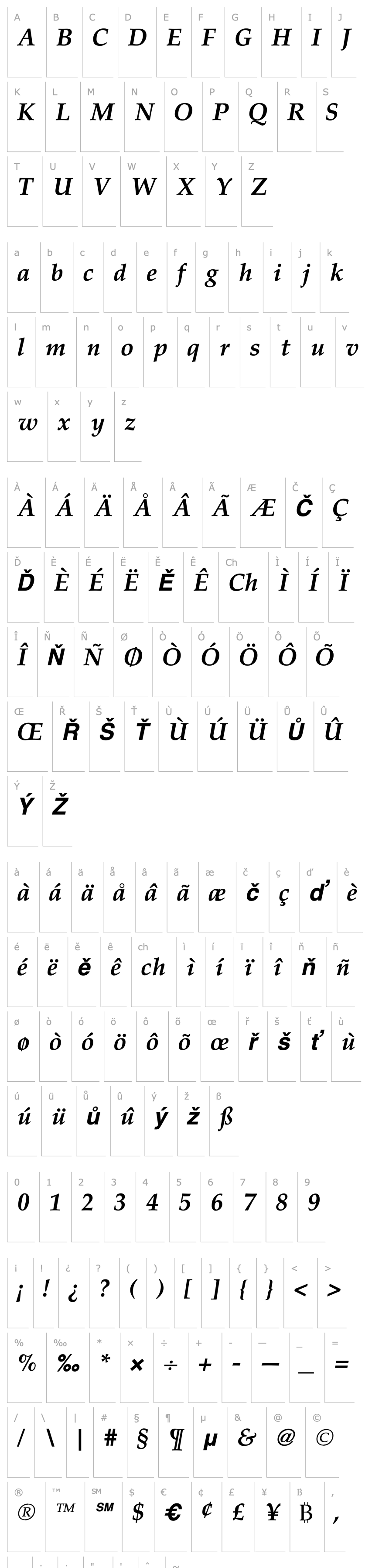 Přehled PalladiaBoldItalic