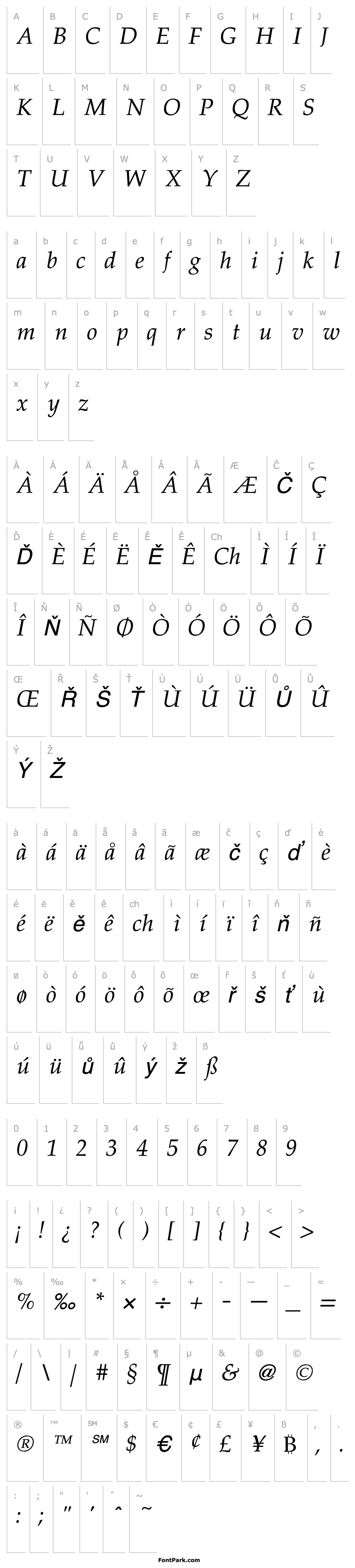 Přehled PalladiaItalic