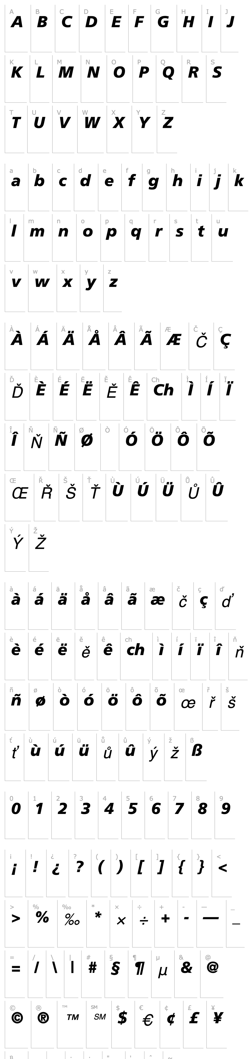 Overview Palma Black SSi Black Italic