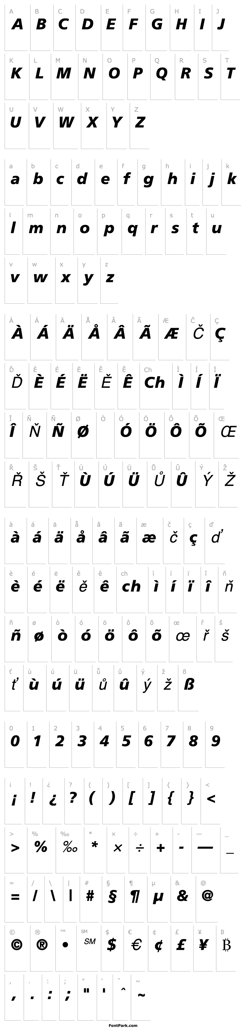 Přehled PalmaBlackSSK Italic