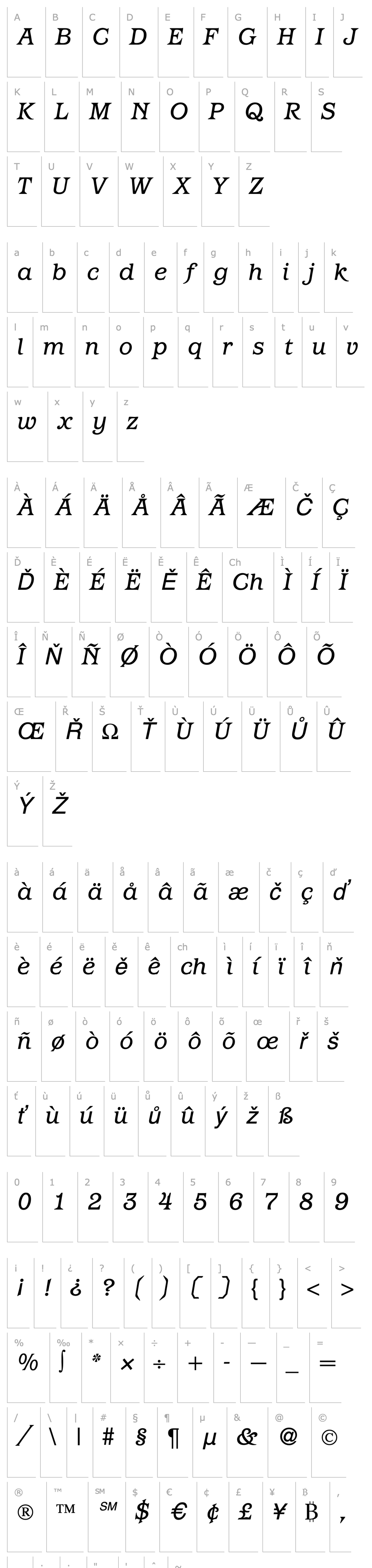 Přehled Paragon-RegularItalic