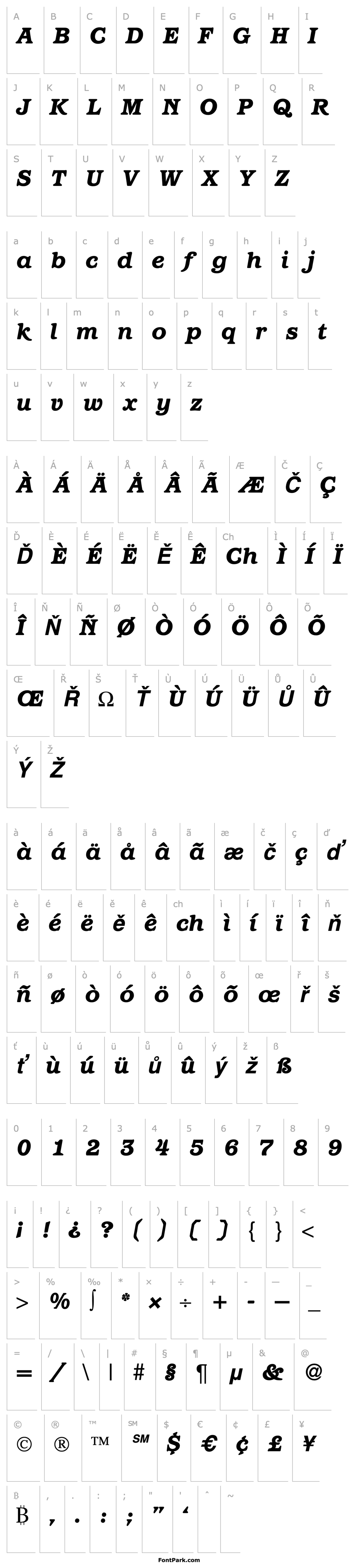 Overview ParagonHeavy-RegularItalic