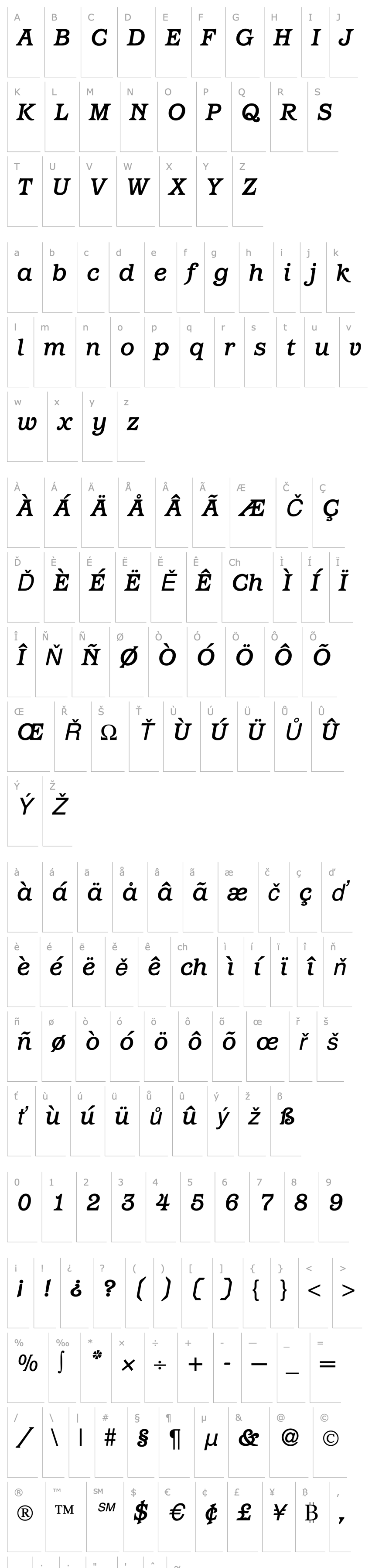 Overview ParagonMedium-RegularItalic