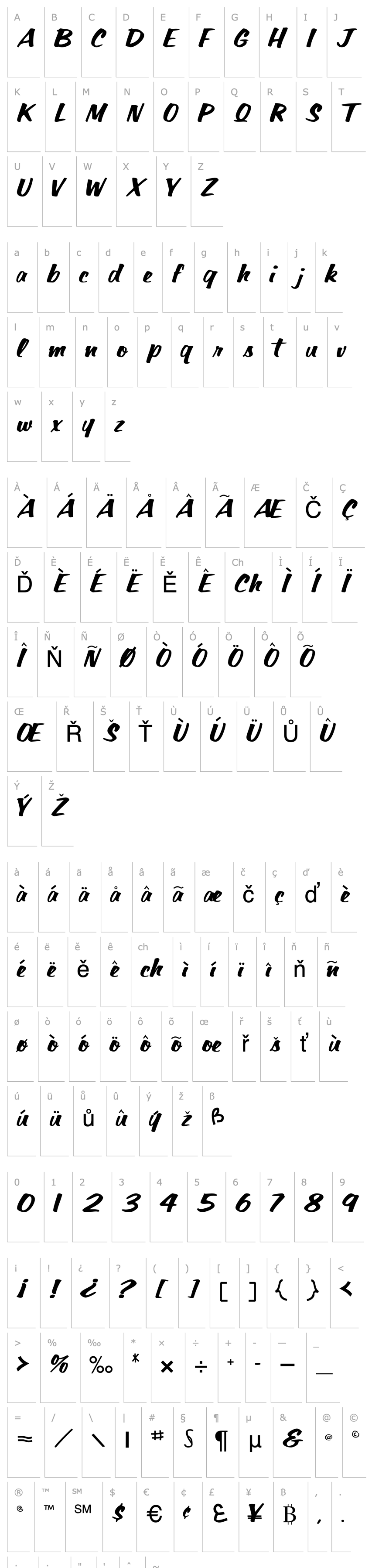 Overview ParagonScriptSSK