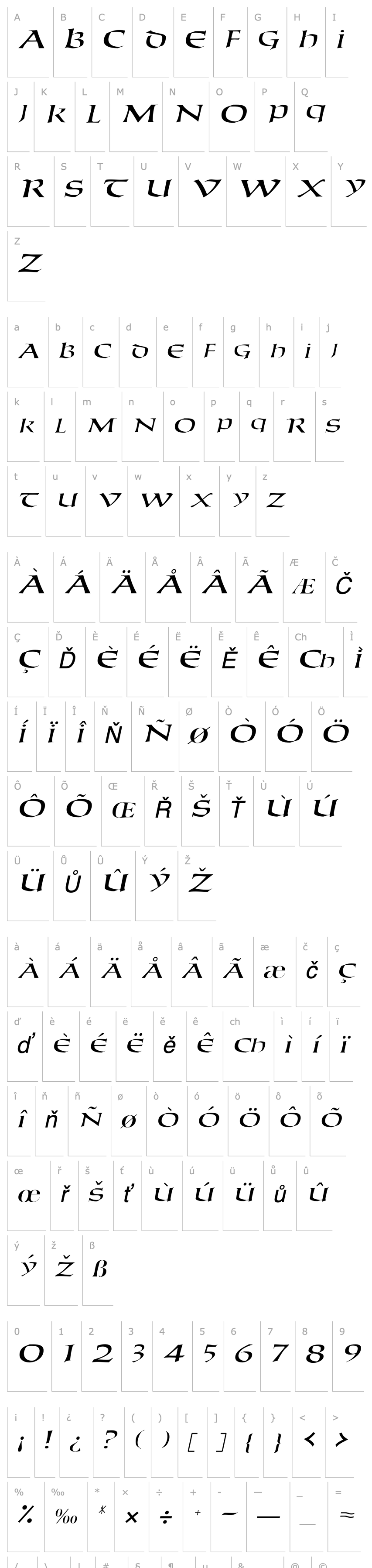 Přehled ParaketteSCapsSSK Italic