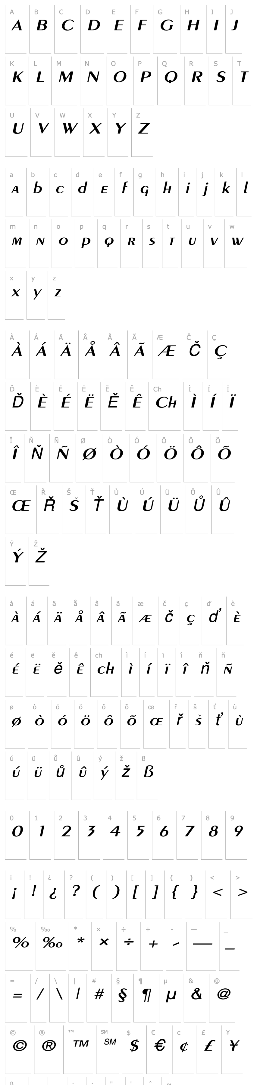 Overview Pare Wide Italic