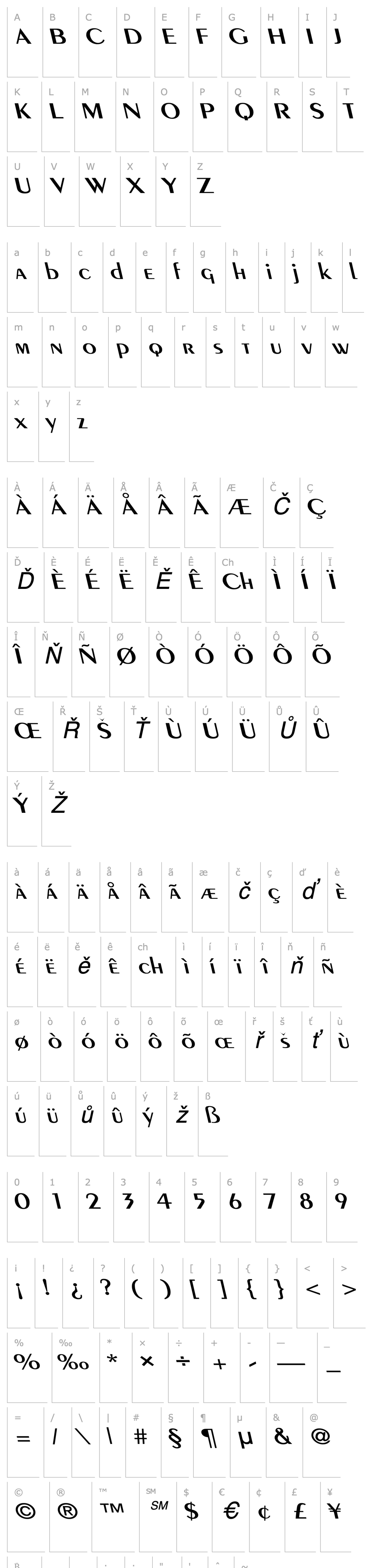 Overview Pare Wide Reverse Italic