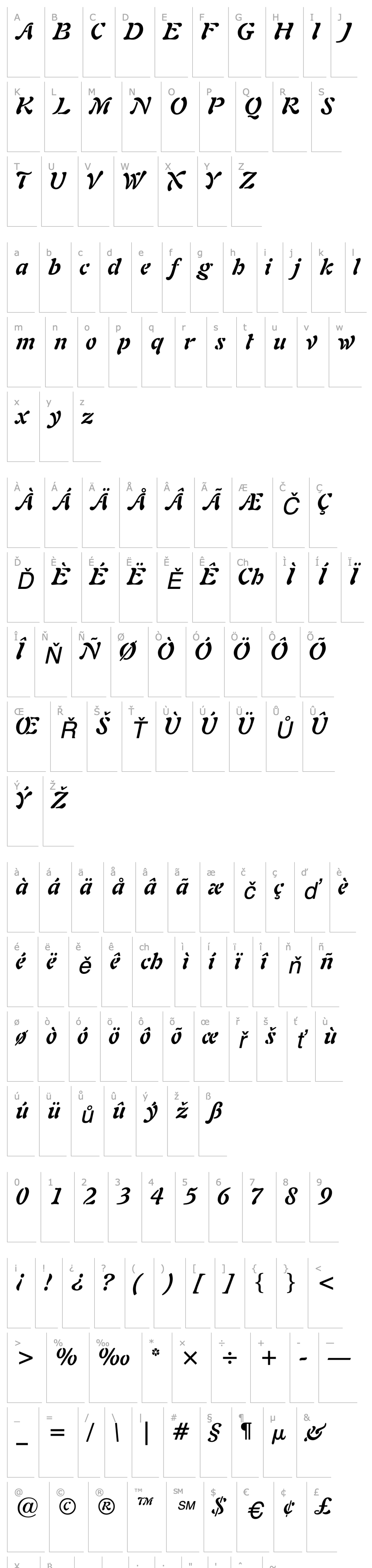 Overview ParielSSK  Bold Italic