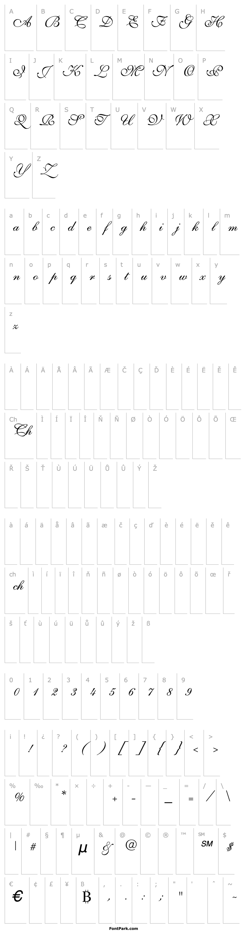 Overview Parsons Italic