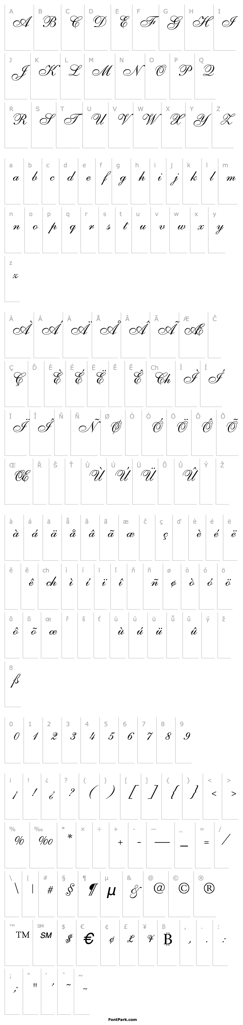 Overview Parsons Italic Thin 