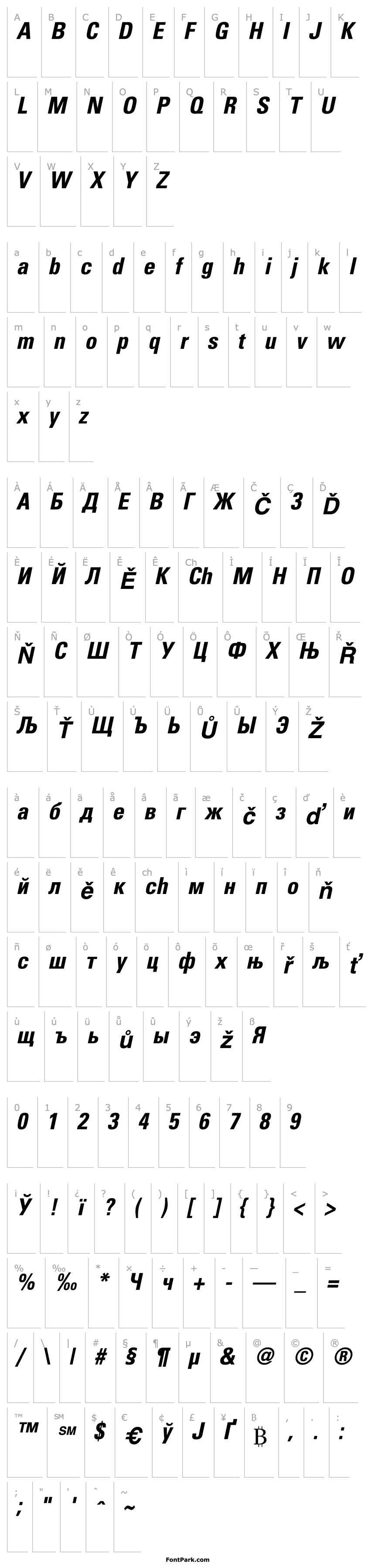 Overview PartnerCondensed BoldOblique