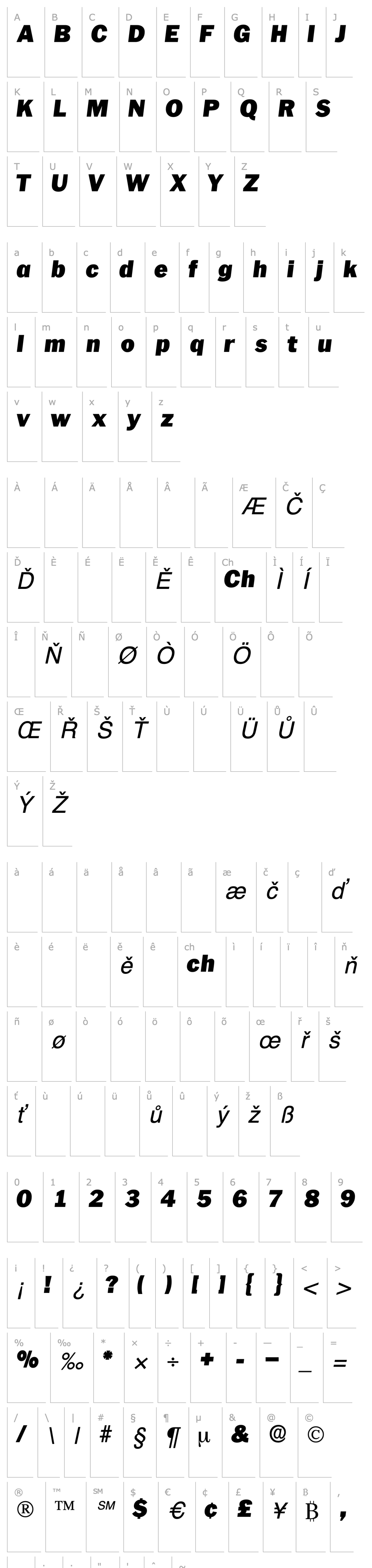 Přehled PaschDisplaySSK Italic