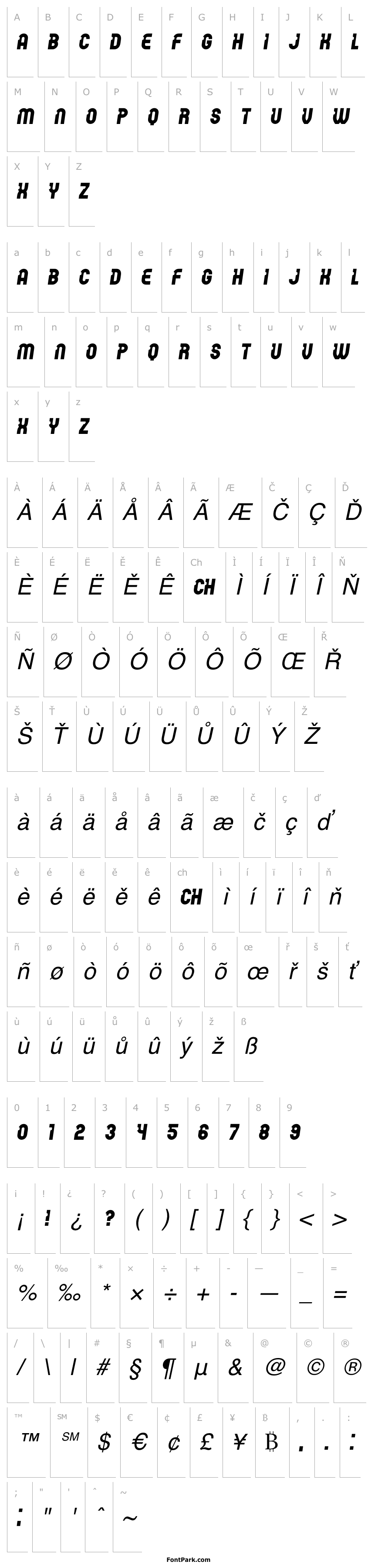 Overview Password Book Italic