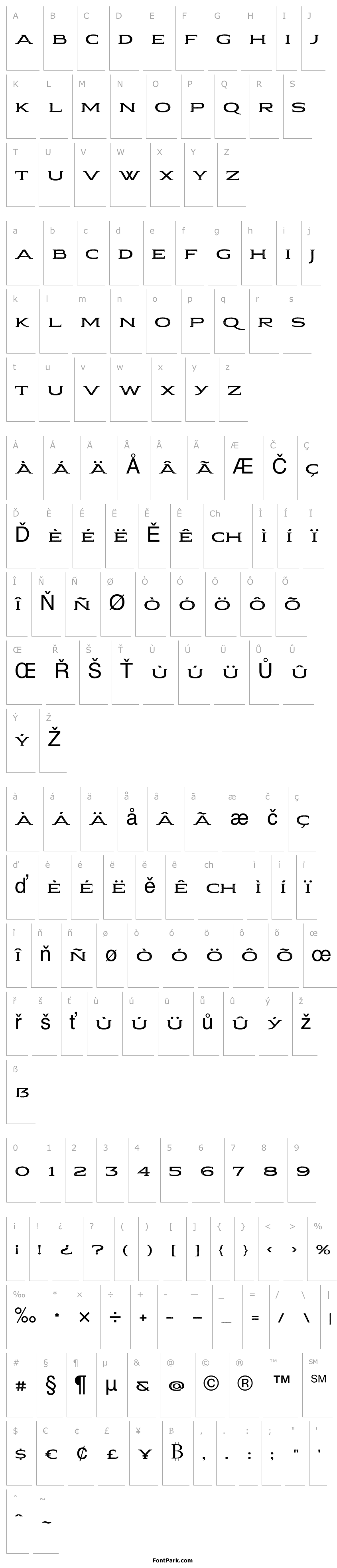 Přehled Pauraque_Serif_Rough Regular