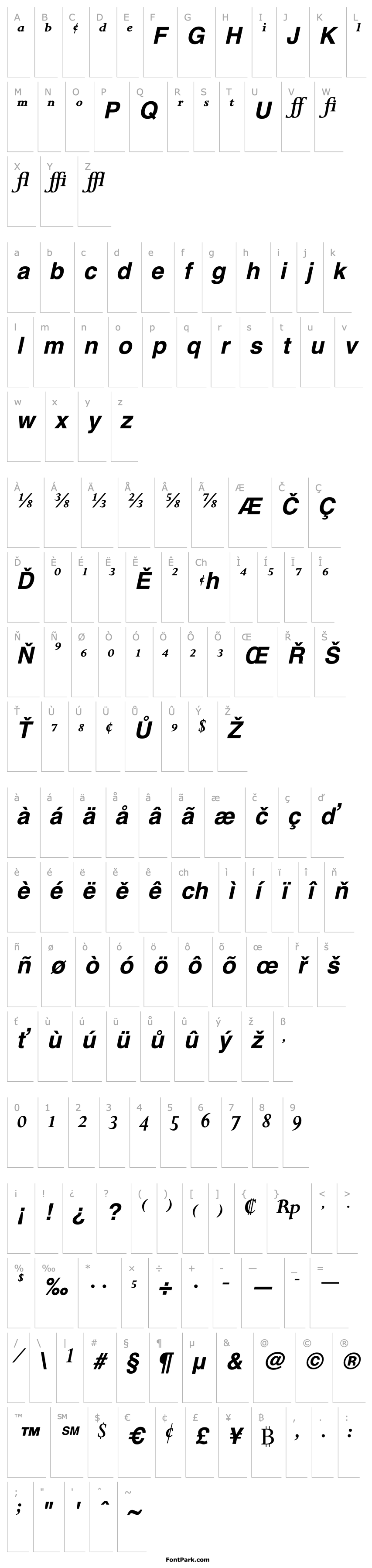 Přehled PerpetuaExpert-Bold Italic