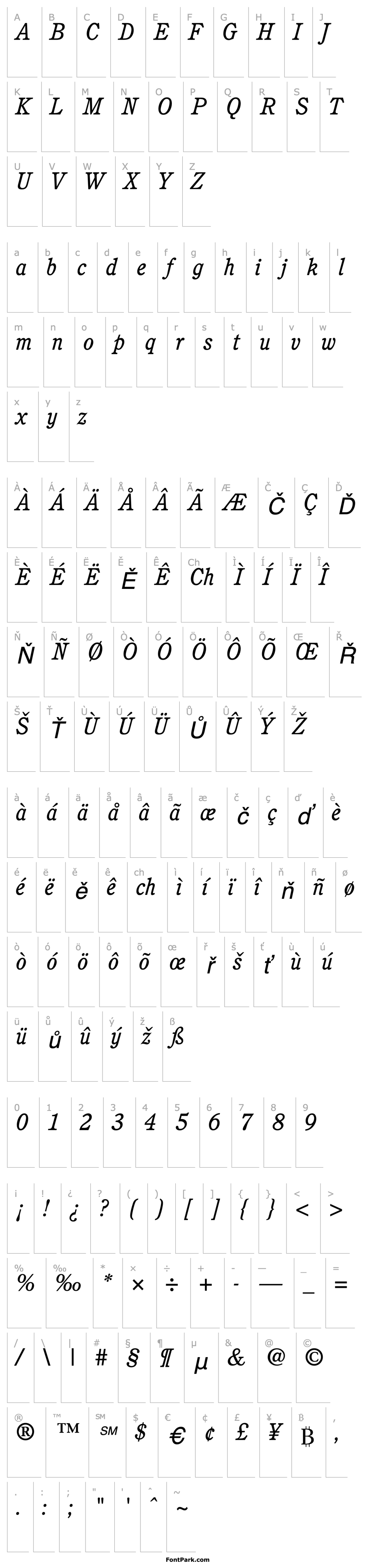 Overview Perspective SSi Italic