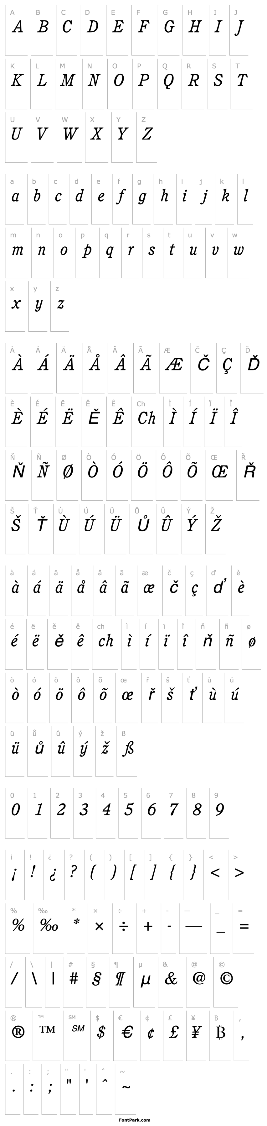 Overview PerspectiveSSK Italic