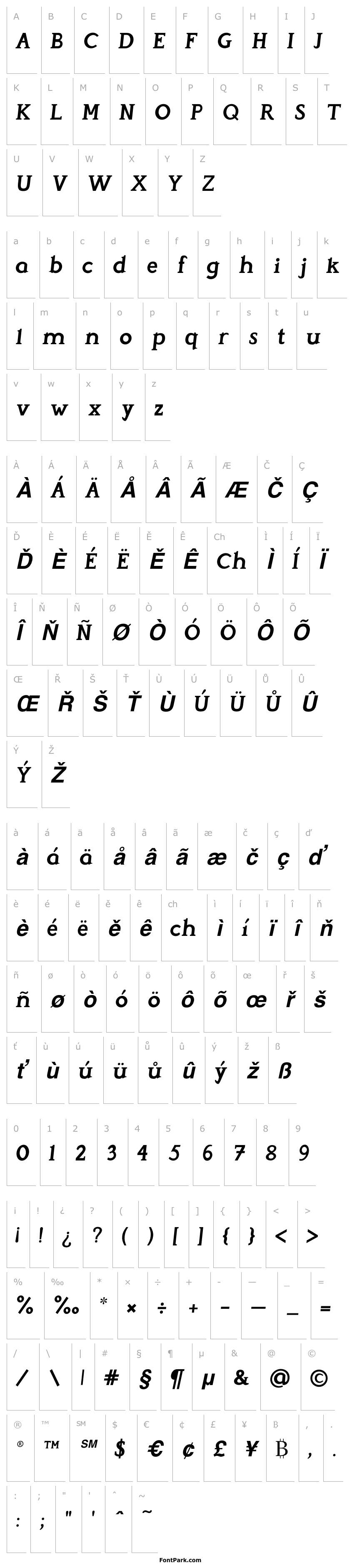 Přehled Perspicacious Italic Bold