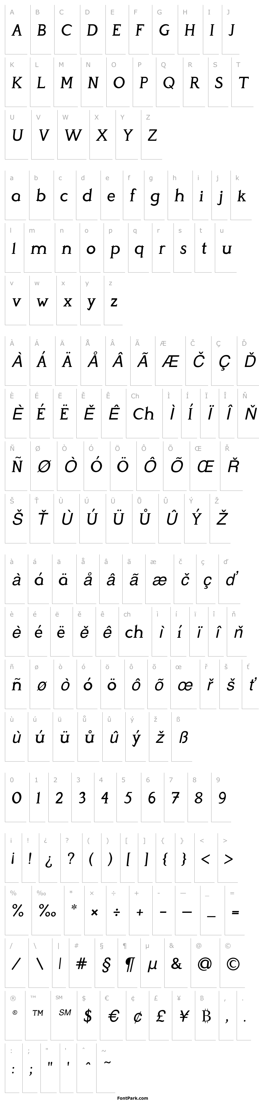 Overview Perspicacious Italic Medium