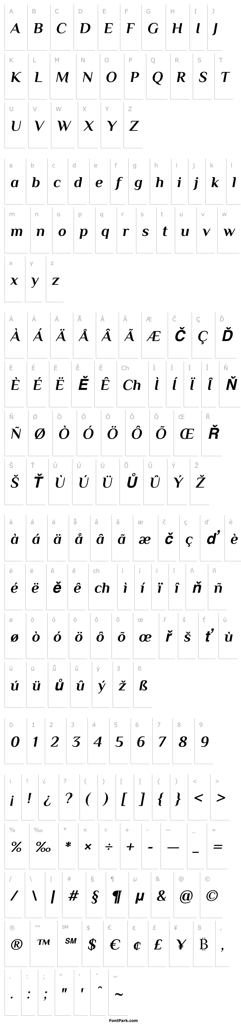 Přehled Philosopher Bold Italic