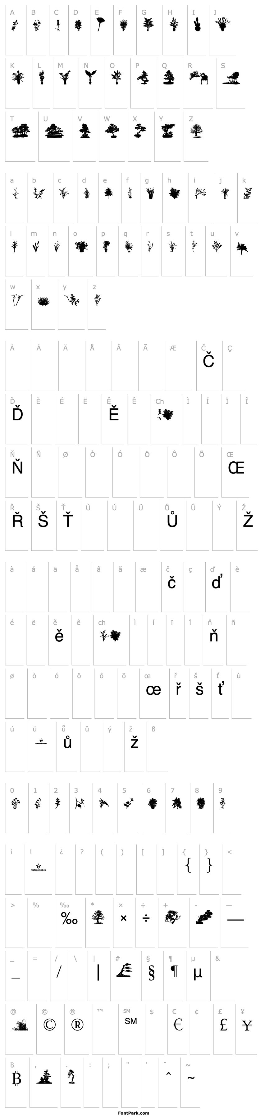 Overview Plantae Dings