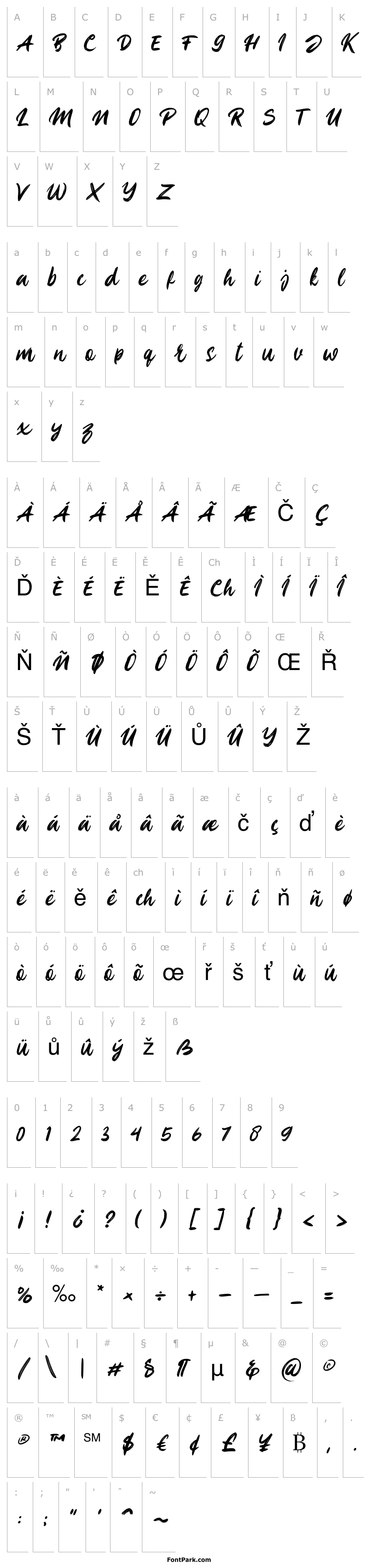 Přehled Playbrush