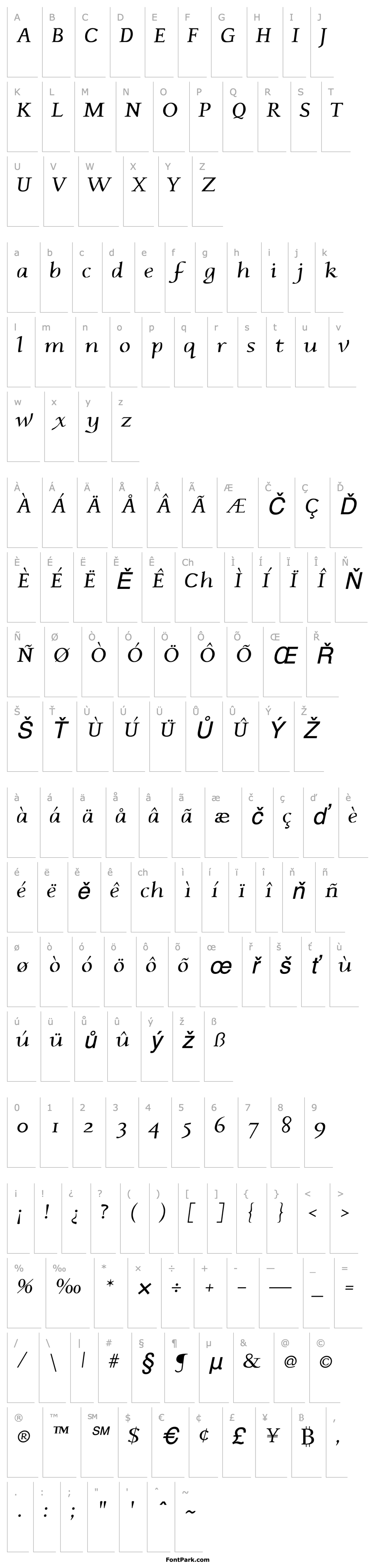 Přehled Plunkette Italic