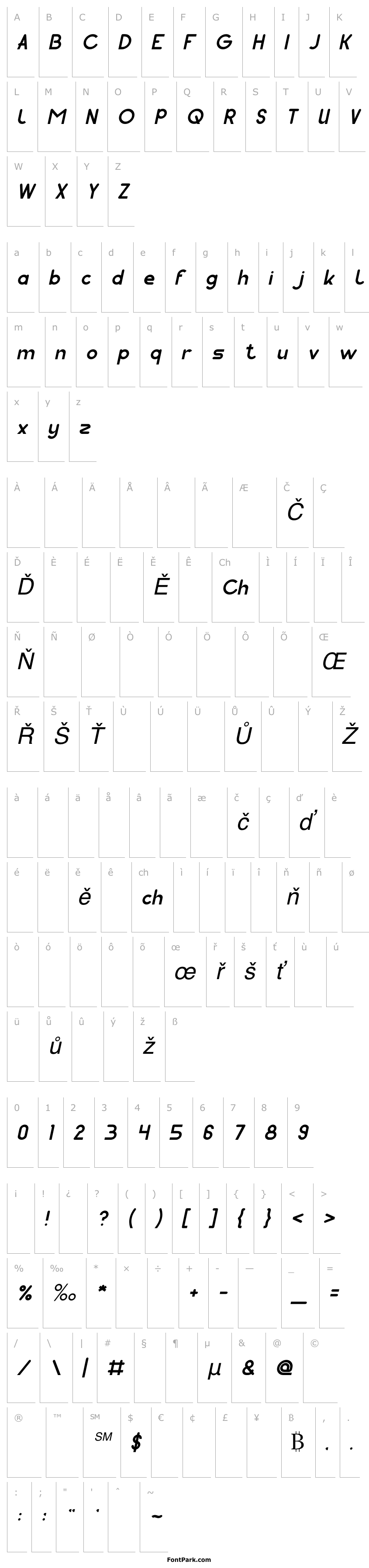 Overview Pocket Italic