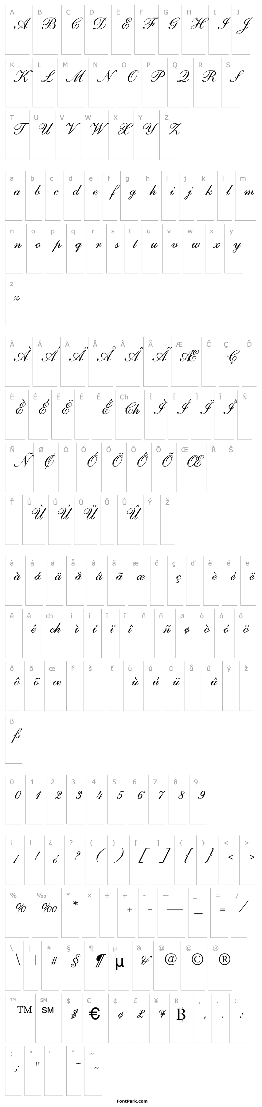 Overview Poe Script