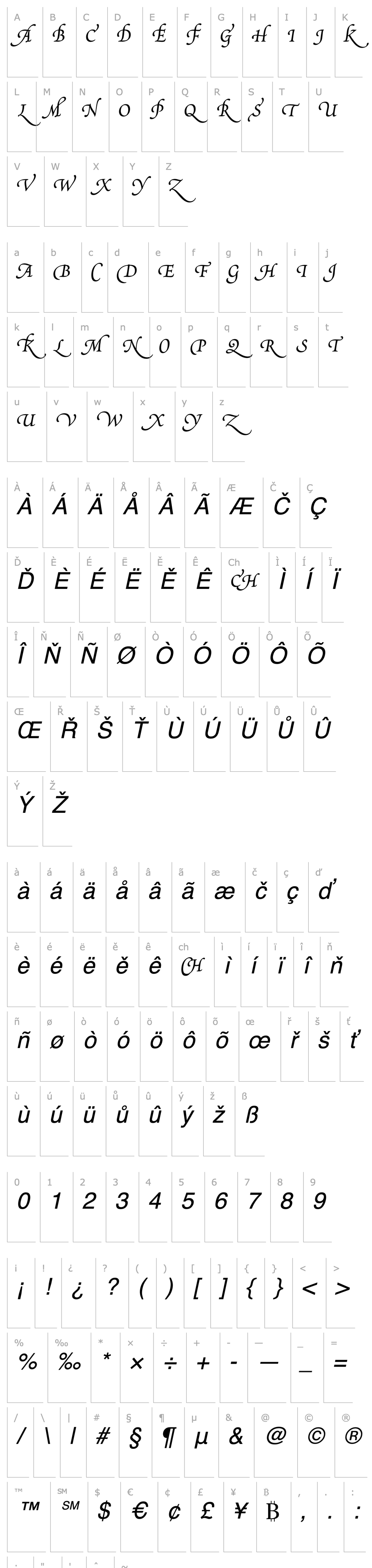 Overview Poetica Supp Swash Capitals III