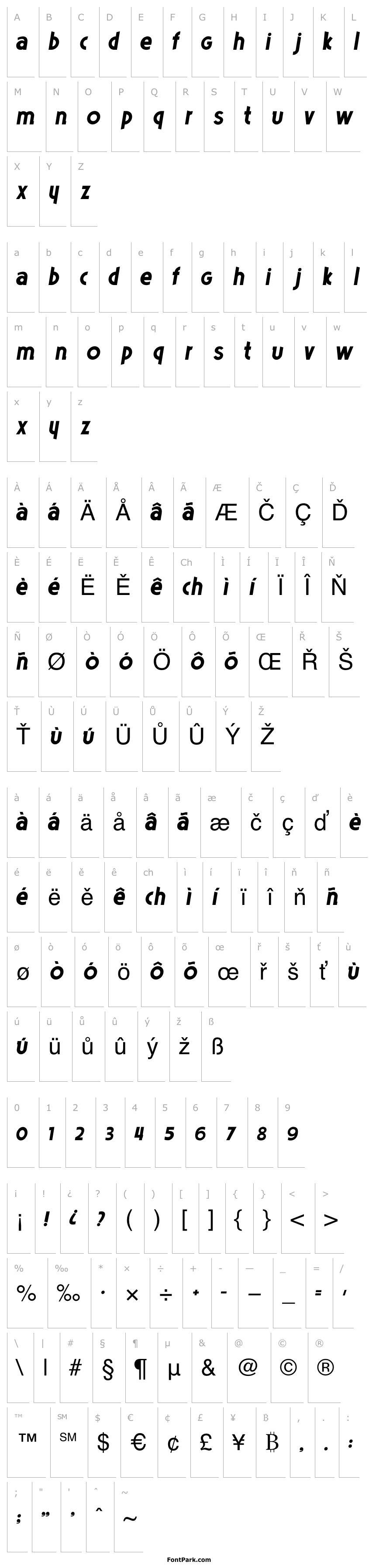 Přehled Poets Bold Italic