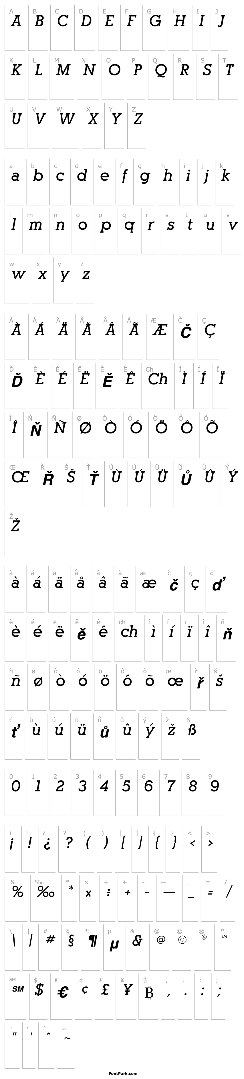 Overview Pogo SSi Bold Italic