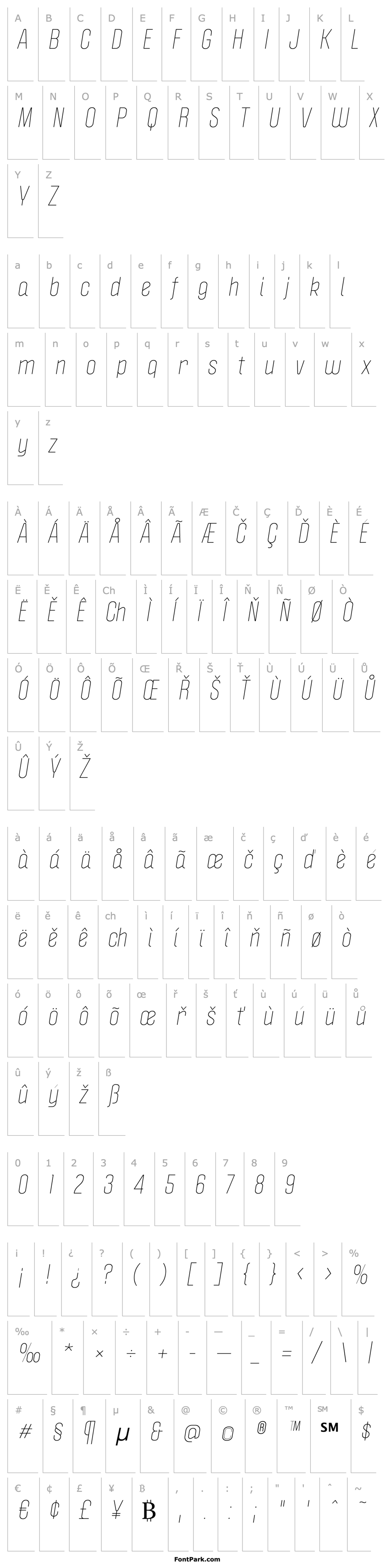 Overview Politica Light Italic