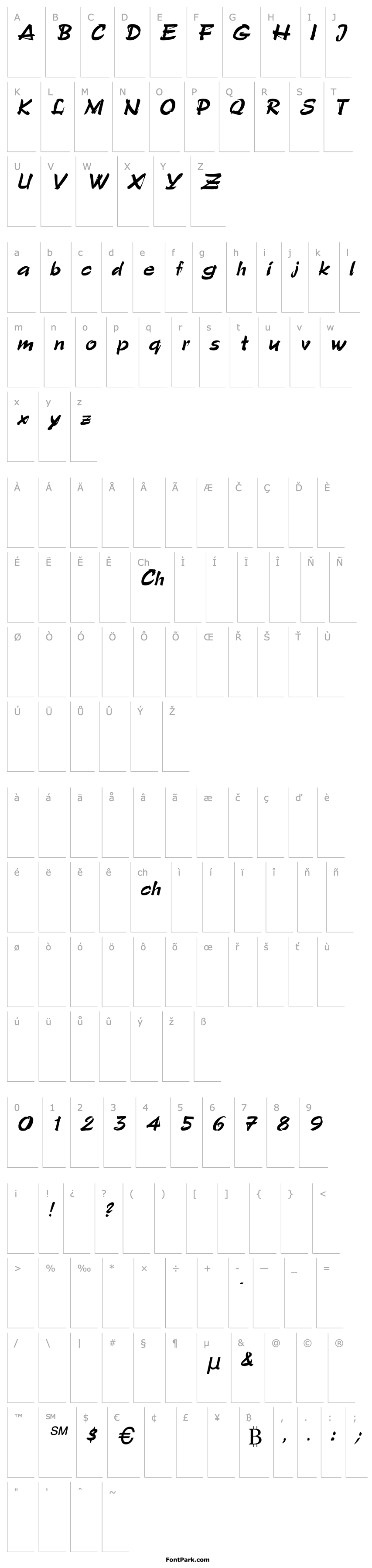 Overview Polo-SemiScript Italic