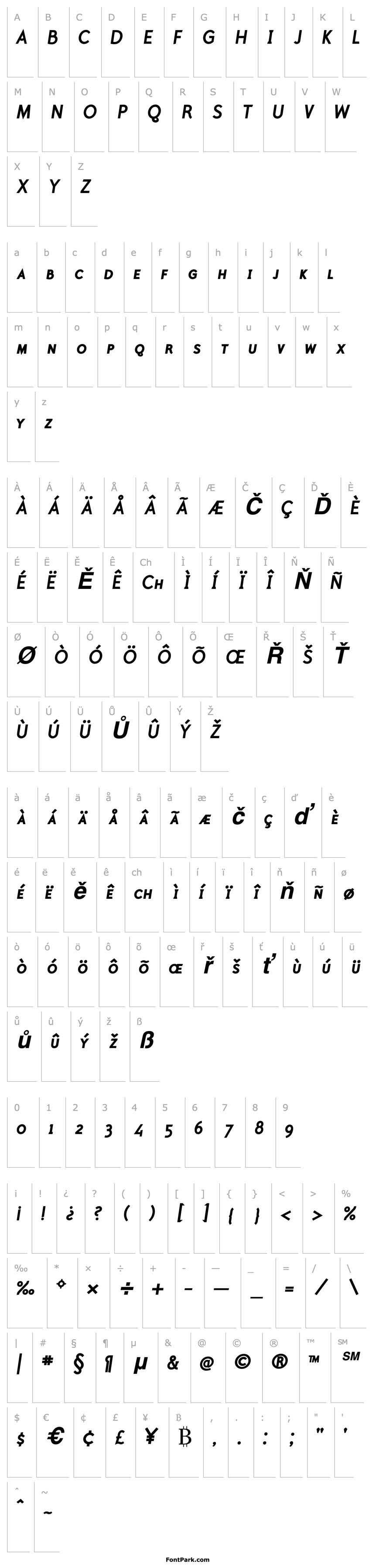 Přehled PolymerBoldCapsItalic