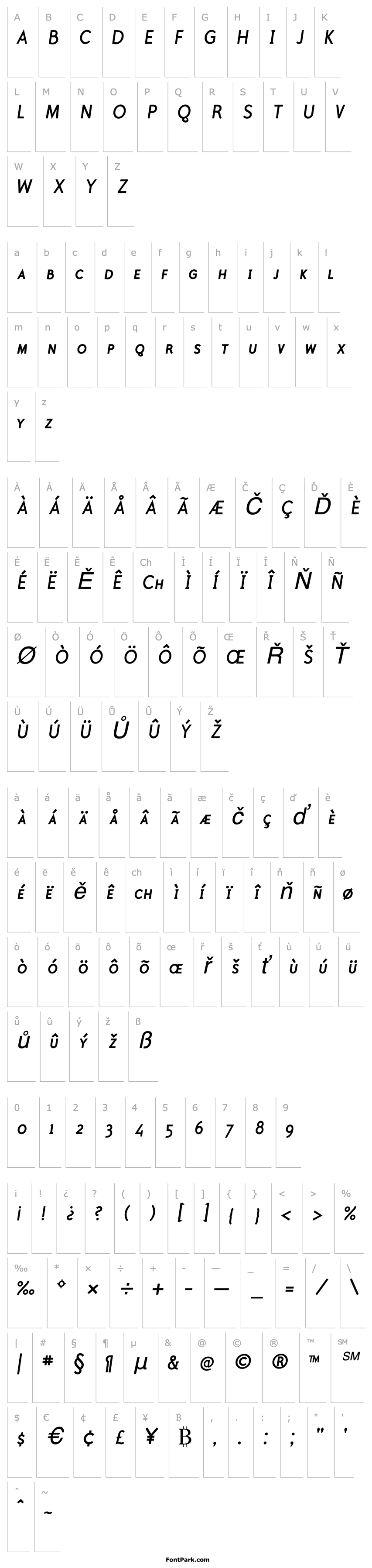 Přehled PolymerMediumCapsItalic